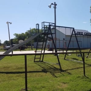Lone Cherry playground swings